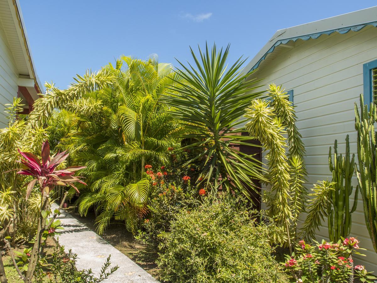 Coco Bungalows Sainte-Rose Eksteriør billede