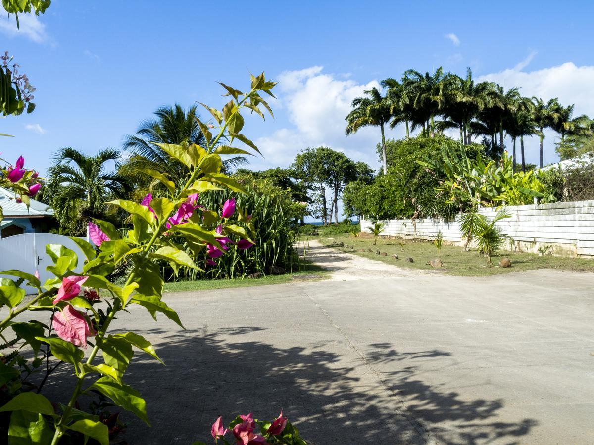 Coco Bungalows Sainte-Rose Eksteriør billede